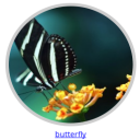 Team Circle Image Slider With Lightbox