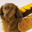 Date Published Shortcode