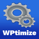 WPtimize
