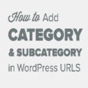 Category Post URLs