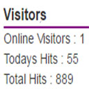 WordPress Visitors
