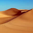 WPXP Clean Navigation Links