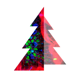 Timber with Jetpack Photon