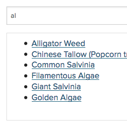 List Item Filter