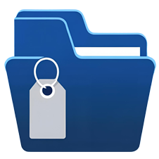 Page Category and Tag