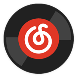 Official Player Of Netease Music