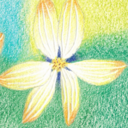 A.N.R.GHG Publishing Toolkit