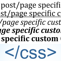 Post/Page Specific Custom Code