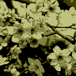 ZenPress – Unbloat, Performance & Security