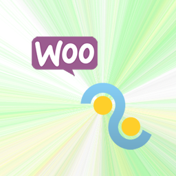 2Parale for WooCommerce