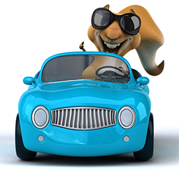 Squirrels Auto Inventory