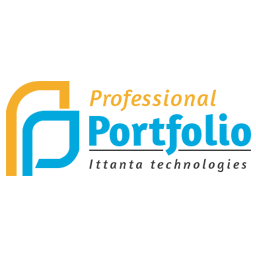 Professional Portfolio