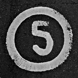 Limit taxonomy term count