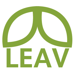 LEAV Last Email Address Validator