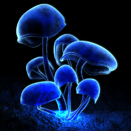 Digital Blasphemy Widget