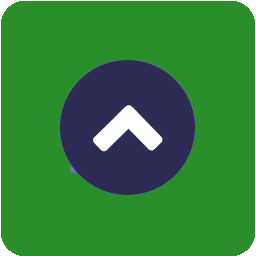 Page Scroll To Top WP