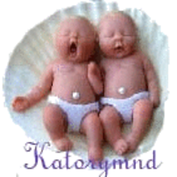 Katorymnd Contact Form