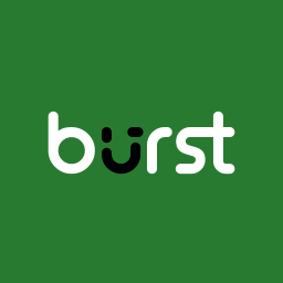 Burst 统计 – 隐私友好的 WordPress 分析工具