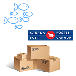 Canada Post Shipping For WooCommerce