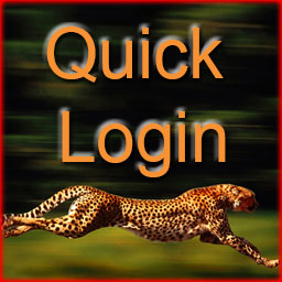 Mindstien Quick Login
