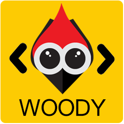 Woody code snippets – Insert Header Footer Code, AdSense Ads