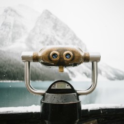 Network Database Search