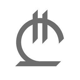 WooCommerce Currency GEL Symbol