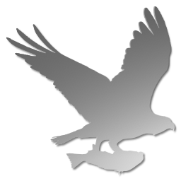 Absolute Relative URLs