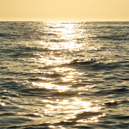 Picturefill fix for WooCommerce