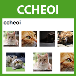 Create Custom Hover Effects On Images WP Plugins