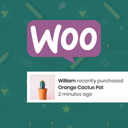 Live Sales Notification for Woocommerce – Woomotiv