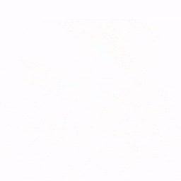 WP Tools Repair, Javascript errors, Jquery errors, Increase Maximum Limits, File Permissions, Transients, Error Log