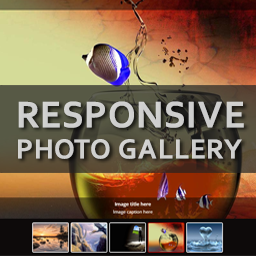 Awesome Responsive Photo Gallery – Image & Video Lightbox Gallery