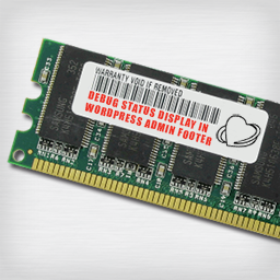 Debug Status display