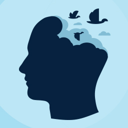 WP Migrate DB Anonymization