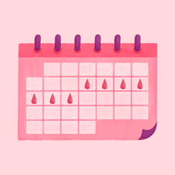 Menstrual Cycle Calculator