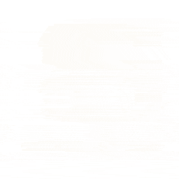 Disable Lazy Load (Deactivate Lazy Load)