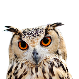 Partners Dynamic Badge