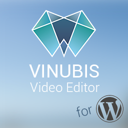 VINUBIS Video Editor