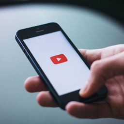 Settings for YouTube block