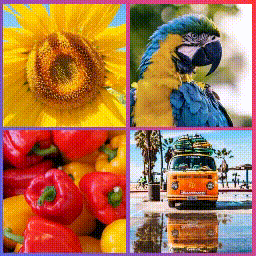 Animated Live Wall – Photo Animation, Feed Gallery Image Change Animation