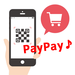 Payment Gateway PayPay for WooCommerce