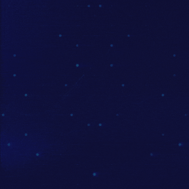 Testimonial Carousel For Elementor